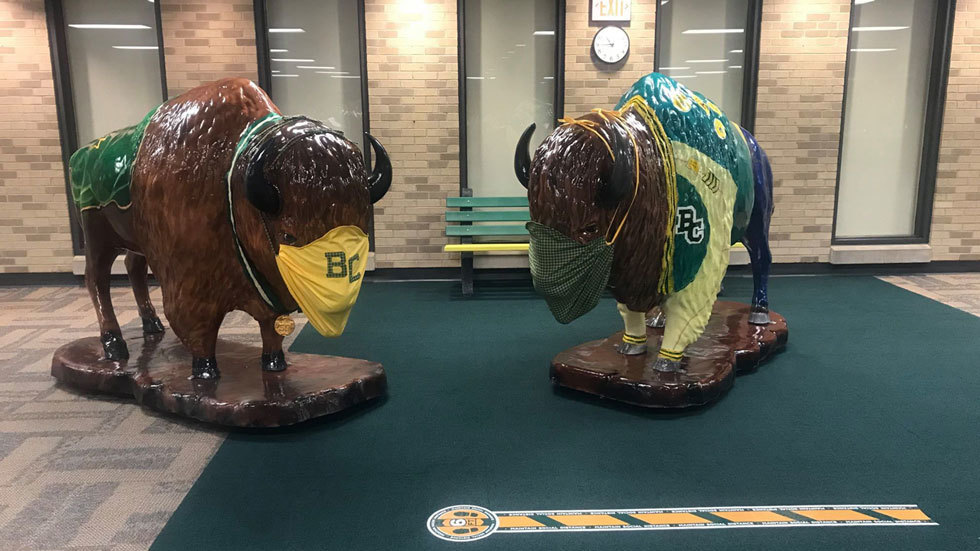 bison statues